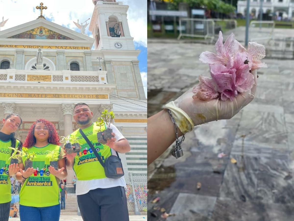 A imagem em destaque mostra a campanha que pretende tornar Belém um 'Jardim de Maria'.